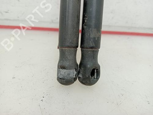 Tailgate lift support SEAT IBIZA III (6L1)  | BP16135692C138 