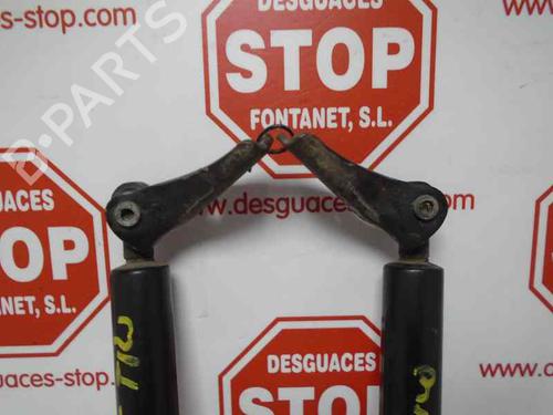 Tailgate lift support HONDA JAZZ II (GD_, GE3, GE2) 1.3 iDSi (GD1) | BP15922259C138 