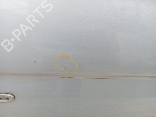 Left front door NISSAN PRIMASTAR Van (X83) 1.9 dCi 100 | BP18537352C2 