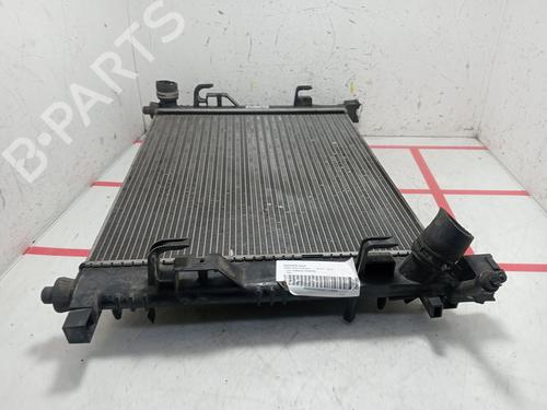 Water radiator DACIA LODGY (JS_) | BP33957204M31 - Image 5
