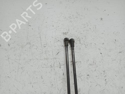 Tailgate lift support FIAT PANDA (169_) 1.2 (169.AXB11, 169.AXB1A) | BP28042860C138 