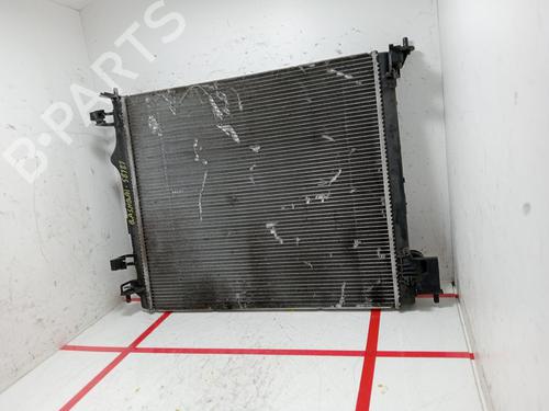 Water radiator NISSAN QASHQAI II (J11, J11_)  | BP24404640M31 