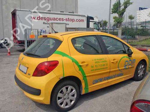 Tailgate PEUGEOT 207 (WA_, WC_) 1.4 HDi | BP7620876C6