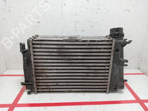 Intercooler NISSAN QASHQAI II (J11, J11_)  | BP24404644M30 
