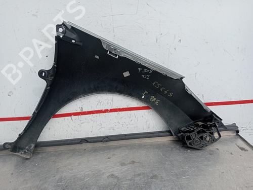 Left front fenders PEUGEOT 308 I (4A_, 4C_)  | BP19535284C41 