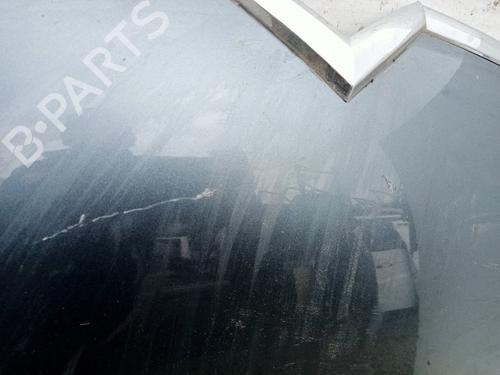 Hood CITROËN C4 Grand Picasso I (UA_) 1.6 HDi | BP22809728C1