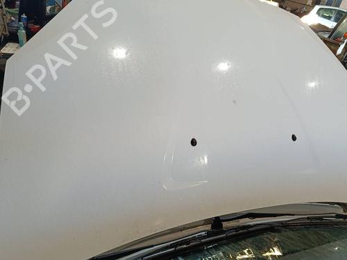 hood-dacia-sandero-2008-40011384 main image