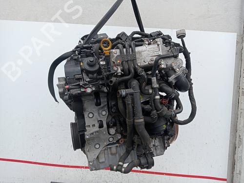Engine SEAT LEON ST (5F8)  | BP36439211M1  - Image 23