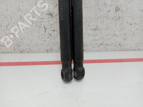 Hood lift support SSANGYONG KYRON  | BP28196138C139 