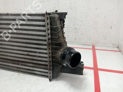 Intercooler DACIA DUSTER (HS_) | BP29828166M30