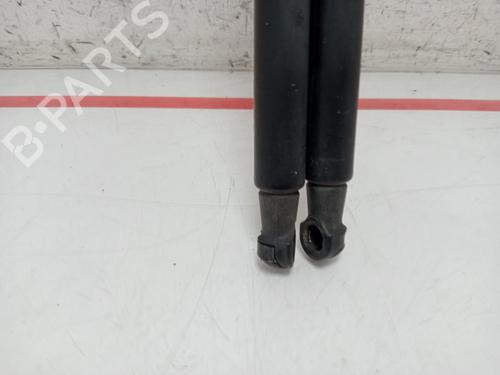 Tailgate lift support NISSAN QASHQAI I (J10, NJ10)  | BP27706465C138 