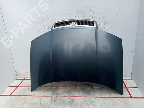 Used Hood SKODA FABIA I (6Y2) [1999-2008]  23106066