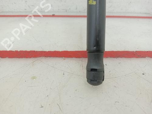 Hood lift support VW GOLF V (1K1)  | BP21189278C139 