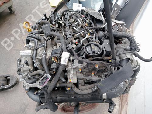 Engine SEAT LEON ST (5F8)  | BP36439211M1  - Image 19