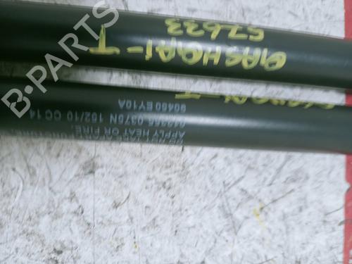 Tailgate lift support NISSAN QASHQAI I (J10, NJ10) 2.0 dCi | BP21272560C138 