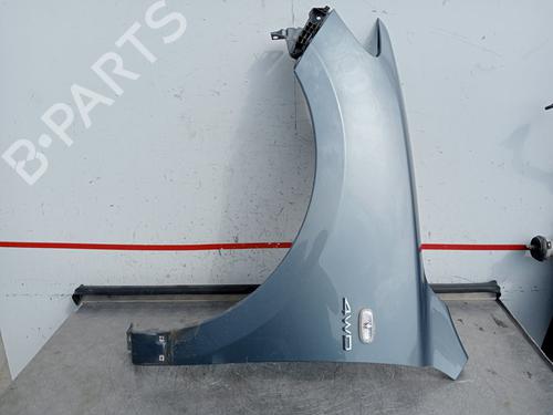 Used Left front fenders HYUNDAI SANTA FÉ II (CM) 2.2 CRDi GLS (150 hp) 19485269