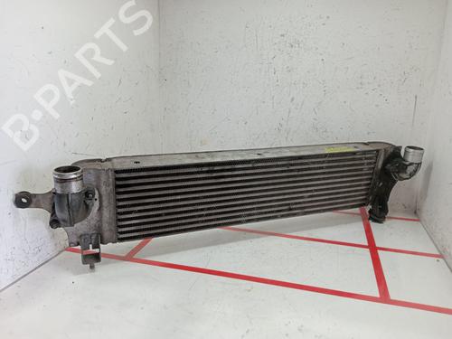 Used Intercooler NISSAN QASHQAI I (J10, NJ10) [2006-2015]  29117495