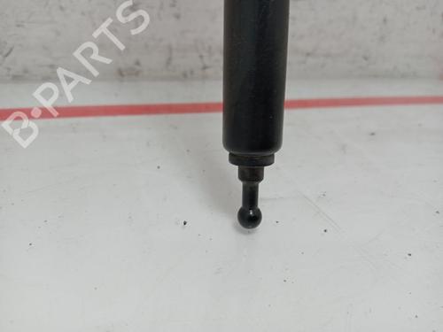 Hood lift support RENAULT MEGANE III Hatchback (BZ0/1_, B3_) 1.2 TCe (BZ16, BZ28) | BP27680436C139 