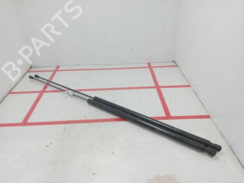 tailgate-lift-support-seat-toledo-iii-5p2-2004-2005-2006-2007-2008-2009-36158641 main image