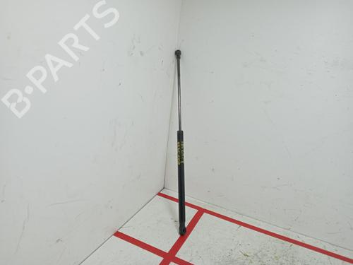 Tailgate lift support SEAT IBIZA III (6L1)  | BP16367079C138 