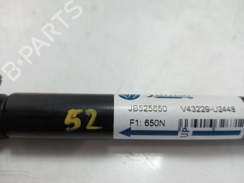 Tailgate lift support NISSAN MURANO I (Z50)  | BP28671217C138 