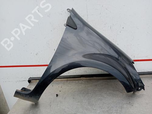 Right front fenders RENAULT CLIO III (BR0/1, CR0/1) 1.6 16V (BR05, BR0B, BR0Y, BR15, BR1J, BR1M, BR1Y, CR0B,... | BP21045986C42 