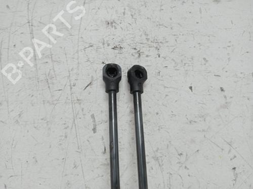 Tailgate lift support RENAULT CLIO IV (BH_)  | BP29073893C138 