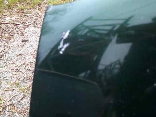 Hood VW GOLF IV (1J1) 1.9 TDI | BP7621695C1 