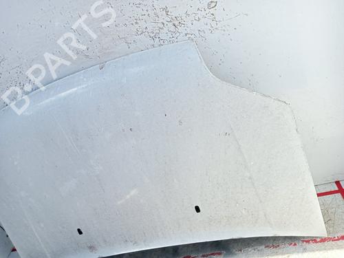 Hood FORD TRANSIT CONNECT (P65_, P70_, P80_) 1.8 TDCi | BP25484869C1 