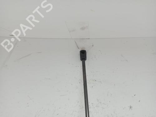 Hood lift support VW GOLF V (1K1)  | BP27696777C139 
