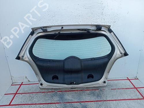 Tailgate RENAULT MEGANE II (BM0/1_, CM0/1_) 1.5 dCi (BM1F, CM1F) | BP18303712C6 