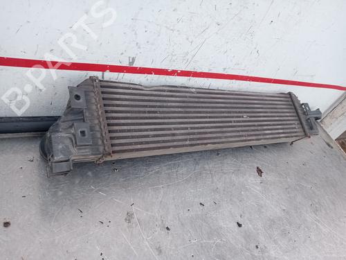 Intercooler OPEL MOVANO B Van (X62)  | BP18853714M30 