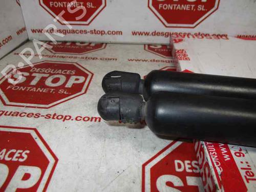 Tailgate lift support SEAT ALHAMBRA (7V8, 7V9) 1.9 TDI | BP15920645C138 