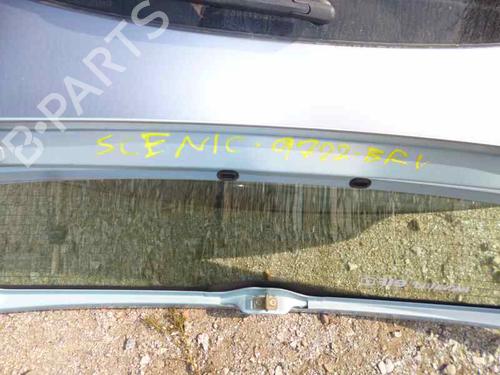 Bakrude RENAULT SCÉNIC I MPV (JA0/1_, FA0_) 1.9 dCi RX4 | BP25816911C64