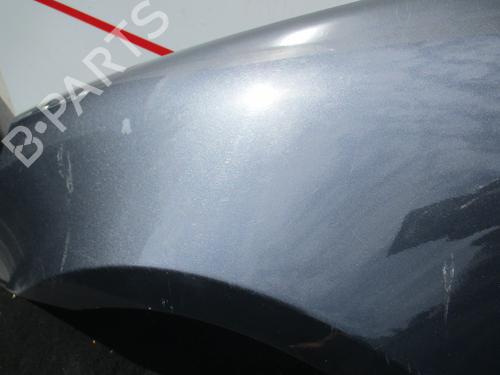 Left front fenders HYUNDAI ACCENT III (MC) 1.5 CRDi GLS | BP15927813C41 