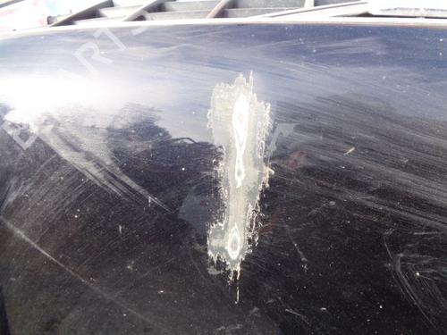 Hood VOLVO XC90 I (275) D5 AWD | BP7919497C1 