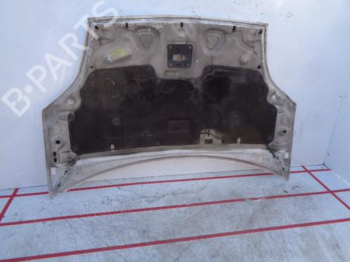 Hood FORD FIESTA V (JH_, JD_) 1.4 TDCi | BP15930952C1 
