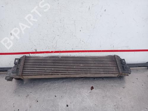 Intercooler OPEL MOVANO B Van (X62)  | BP18853714M30 