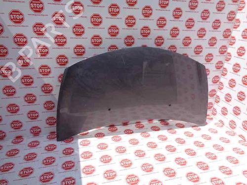 Motorhjelm RENAULT CLIO III (BR0/1, CR0/1) 1.4 16V (98 hp) 7621745