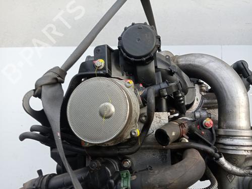 Engine RENAULT CLIO III (BR0/1, CR0/1)  | BP29565783M1 