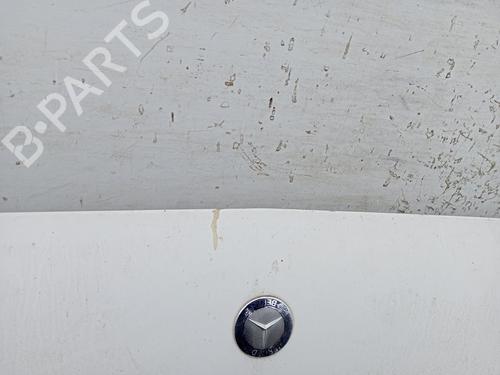 Hood MERCEDES-BENZ SPRINTER 3-t Platform/Chassis (B906) 218 CDI (906.111, 906.113, 906.211, 906.213) | BP29722038C1 