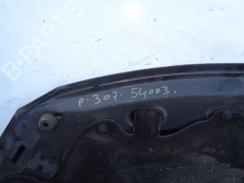 Hood PEUGEOT 307 Break (3E) 1.6 HDi 110 | BP15928768C1 