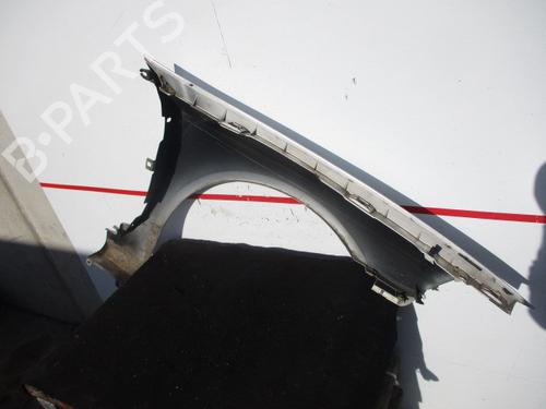 Left front fenders RENAULT LAGUNA II (BG0/1_) 2.0 dCi (BG1T) | BP15929297C41 