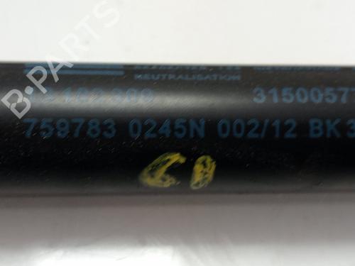 Tailgate lift support OPEL CORSA D (S07) 1.3 CDTI (L08, L68) | BP27610221C138 
