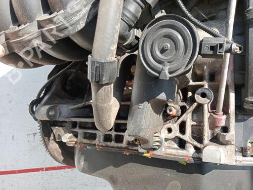 Engine SEAT IBIZA III (6L1)  | BP33556617M1  - Image 19