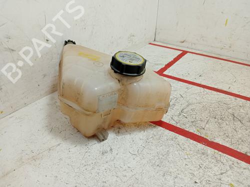 Expansion tank FORD FIESTA VI (CB1, CCN) 1.25 | BP20695150C120 
