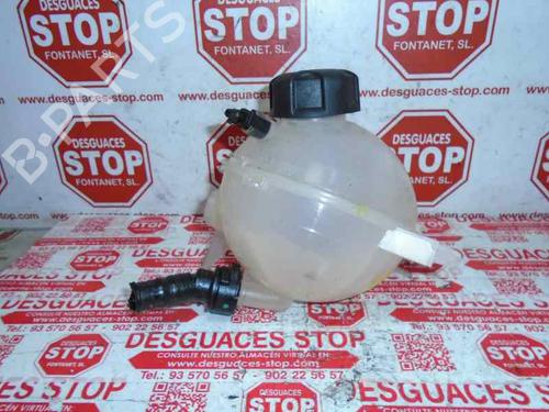 Expansion tank CITROËN BERLINGO Box Body/MPV (B9) 1.6 BlueHDi 100 | BP17667180C120 