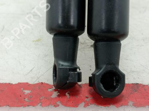 Tailgate lift support SEAT TOLEDO III (5P2)  | BP19937741C138 