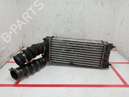 Intercooler CITROËN C4 II (NC_) [2009-2025]  29586029