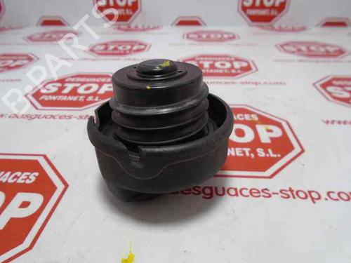 Fuel flap AUDI A3 (8L1)  | BP15915832C131 